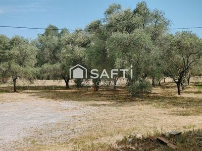 /international/fr/puget-sur-argens-provence-alpes-cote-d-azur-310099810578/