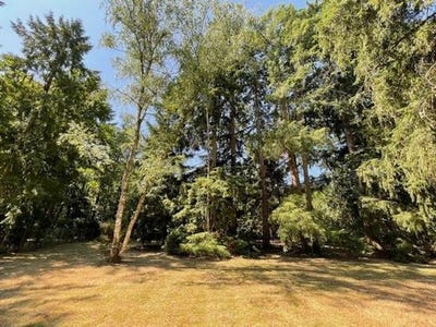/international/fr/ardon-centre-val-de-loire-310106288196/