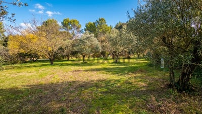 /international/fr/castillon-du-gard-languedoc-roussillon-310108260822/