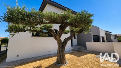 /international/fr/alenya-languedoc-roussillon-310108923407/
