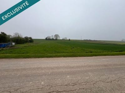 /international/fr/seux-picardie-310107331687/