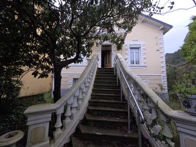 /international/fr/le-teil-rhone-310106522209/