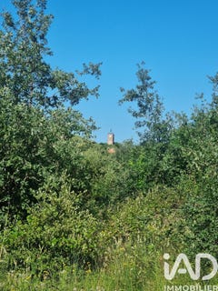 /international/fr/montesquieu-des-alberes-languedoc-roussillon-310108775934/