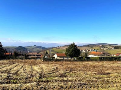 /international/fr/violay-rhone-310101157425/