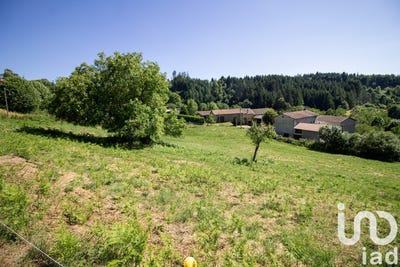 /international/fr/saint-martin-des-olmes-auvergne-310101079183/