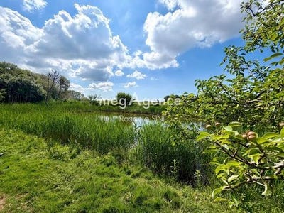 /international/fr/l-ile-d-olonne-pays-de-la-loire-310107905418/