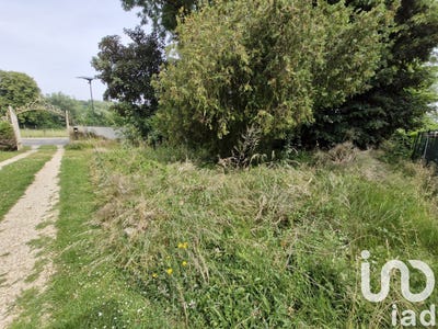 /international/fr/la-ferte-sous-jouarre-ile-de-france-310100137343/