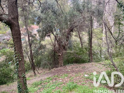 /international/fr/gorbio-provence-alpes-cote-d-azur-310108401543/