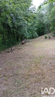 /international/fr/camplong-languedoc-roussillon-310108728374/