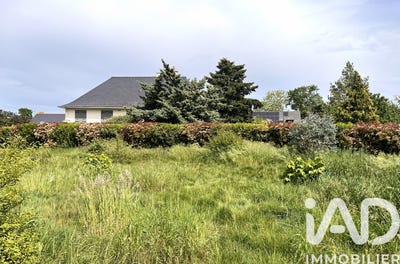 /international/fr/murs-erigne-pays-de-la-loire-310106575169/