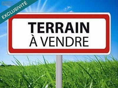 /international/fr/beille-pays-de-la-loire-310108842028/