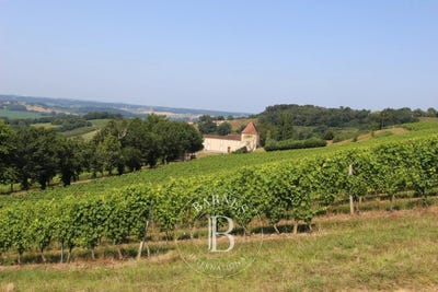 /international/fr/garlin-aquitaine-310101670184/