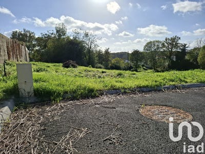 /international/fr/la-chapelle-palluau-pays-de-la-loire-310103086636/