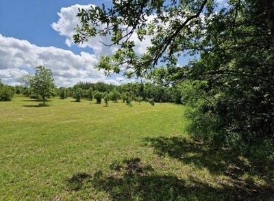 /international/fr/castelnau-montratier-midi-pyrenees-120096719265/