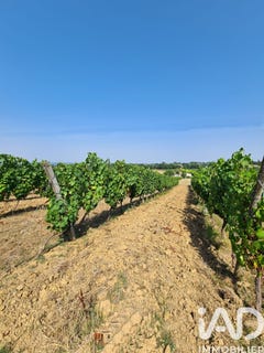 /international/fr/saussignac-aquitaine-310106425186/