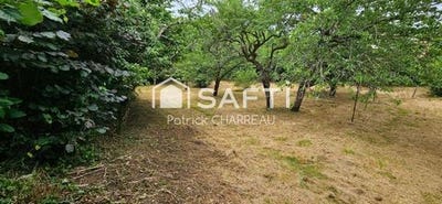 /international/fr/brive-la-gaillarde-limousin-120096541438/