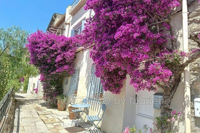 /international/fr/grimaud-provence-alpes-cote-d-azur-310101251623/