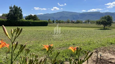 /international/fr/saint-marcellin-provence-alpes-cote-d-azur-120092397575/