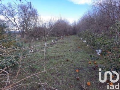 /international/fr/bezouce-languedoc-roussillon-310101017887/