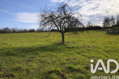 /international/fr/jugeals-nazareth-limousin-310104299213/