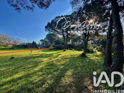 /international/fr/bizanet-languedoc-roussillon-310106709389/