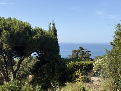 /international/fr/sete-languedoc-roussillon-310108954265/