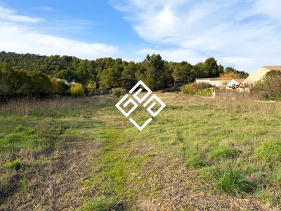 /international/fr/bize-minervois-languedoc-roussillon-310105191351/