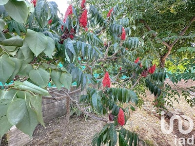 /international/fr/castelnau-le-lez-languedoc-roussillon-310100369476/