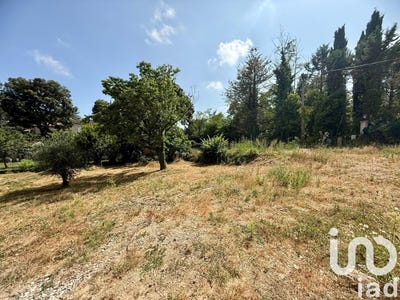 /international/fr/montauroux-provence-alpes-cote-d-azur-310100538002/