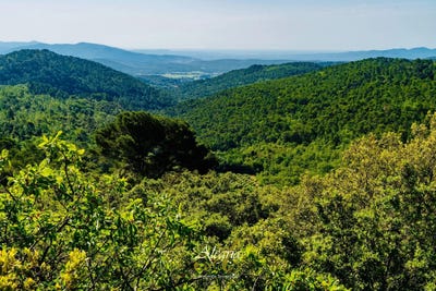 /international/fr/draguignan-provence-alpes-cote-d-azur-310101036653/?lang=zh-tw