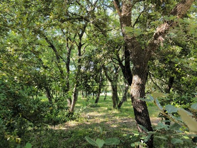 /international/fr/saint-siffret-languedoc-roussillon-310104915996/