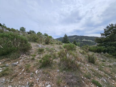 /international/fr/saint-vallier-de-thiey-provence-alpes-cote-d-azur-310108133753/