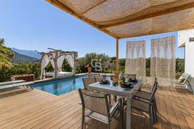 /international/fr/palasca-corsica-310107412139/