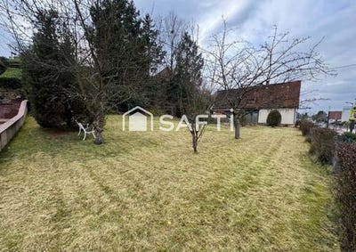 /international/fr/haguenau-alsace-310108312487/