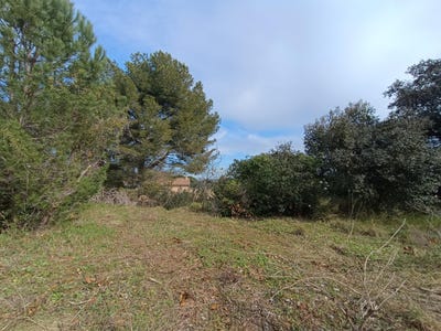 /international/fr/saint-andre-de-sangonis-languedoc-roussillon-310104086756/