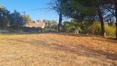 /international/fr/saint-pons-de-mauchiens-languedoc-roussillon-310098734171/