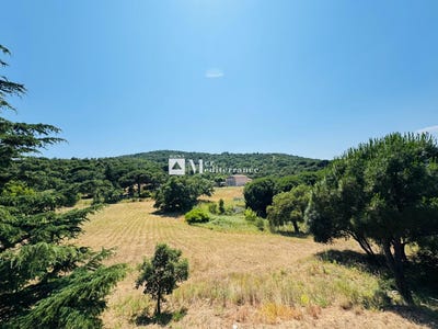 /international/fr/sainte-maxime-provence-alpes-cote-d-azur-310101172229/
