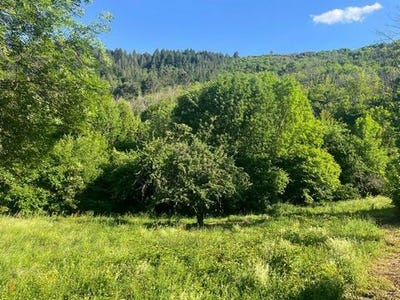 /international/fr/saumane-languedoc-roussillon-310108374600/