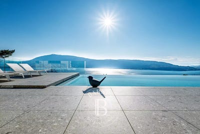 /international/fr/veyrier-du-lac-rhone-310101158276/