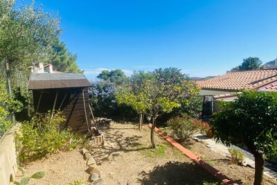 /international/fr/cerberus-languedoc-roussillon-310103154772/