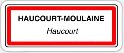 /international/fr/haucourt-moulaine-lorraine-310098738242/