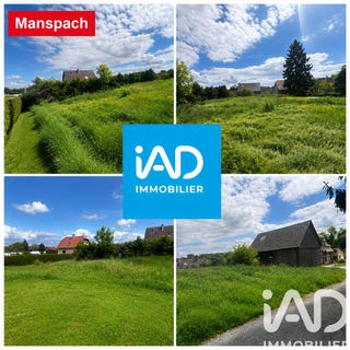 /international/fr/manspach-alsace-310108049602/