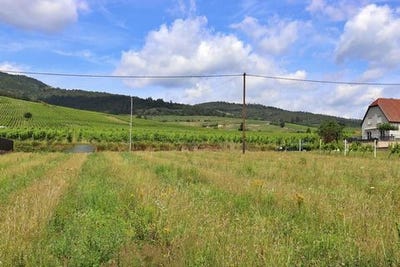/international/fr/dambach-la-ville-alsace-310101388578/?lang=zh-tw