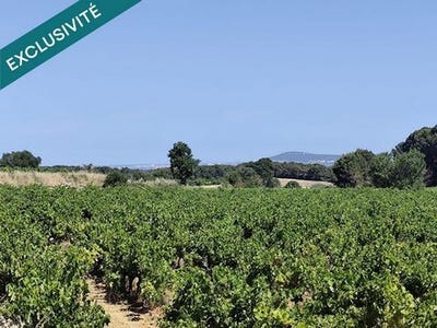 /international/fr/montagnac-languedoc-roussillon-310109021941/