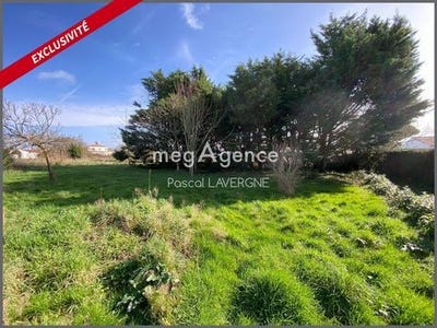 /international/fr/soullans-pays-de-la-loire-310105897101/