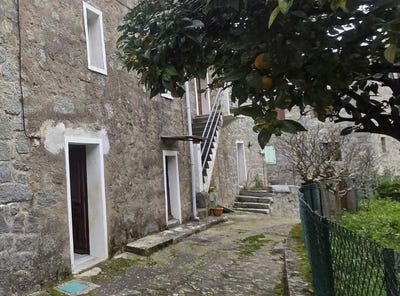 /international/fr/sollacaro-corsica-310106336611/