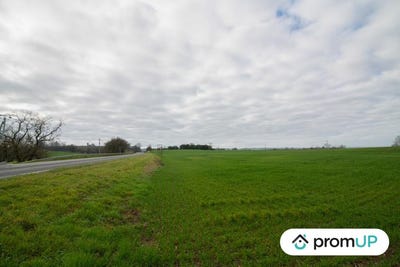 /international/fr/sempesserre-midi-pyrenees-310103178091/