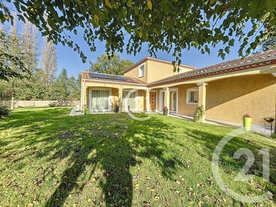 /international/fr/viterbe-midi-pyrenees-310108870702/