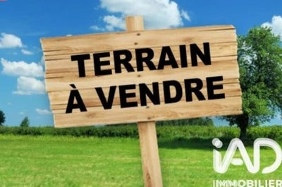 /international/fr/notre-dame-de-riez-pays-de-la-loire-310105239527/