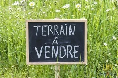 /international/fr/menesplet-aquitaine-310104866163/